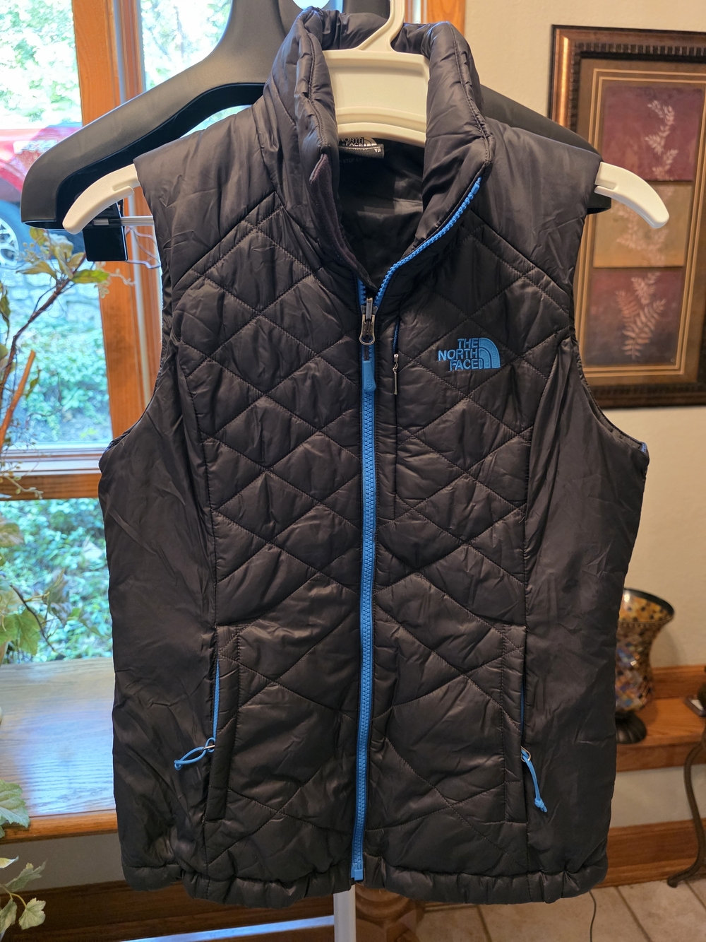 The North Face Black Quilted Vest with Blue Trim XS